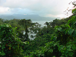 Costa Rica Rain Forests